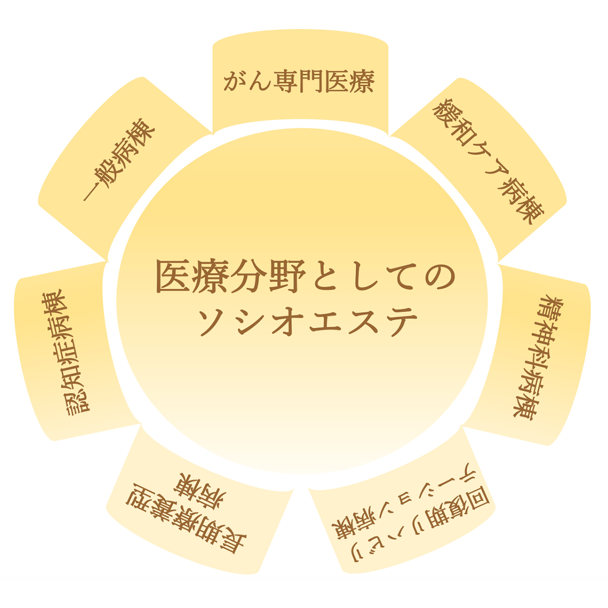 医療分野としてのソシオエステ