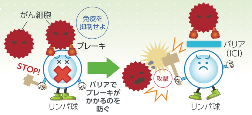 免疫チェックポイント阻害剤